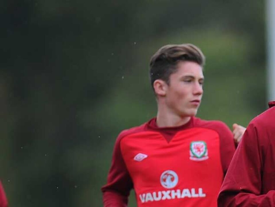 Avô de Harry Wilson ganha 150 mil euros com aposta
