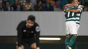 Como treinar o... dragão