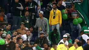 Leão pode incorrer em multa até 5.100€