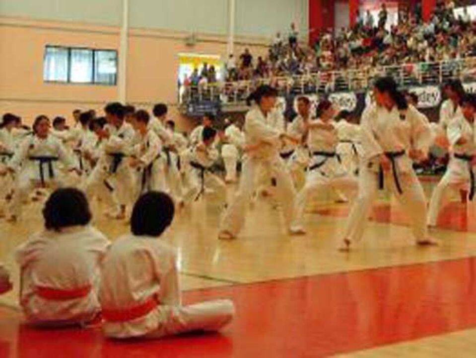 Karaté: Albino Sousa em 9.º no Mundial