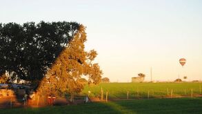 Balonismo: Alentejo volta a receber festival internacional