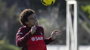Pepe defende chamada de William Carvalho