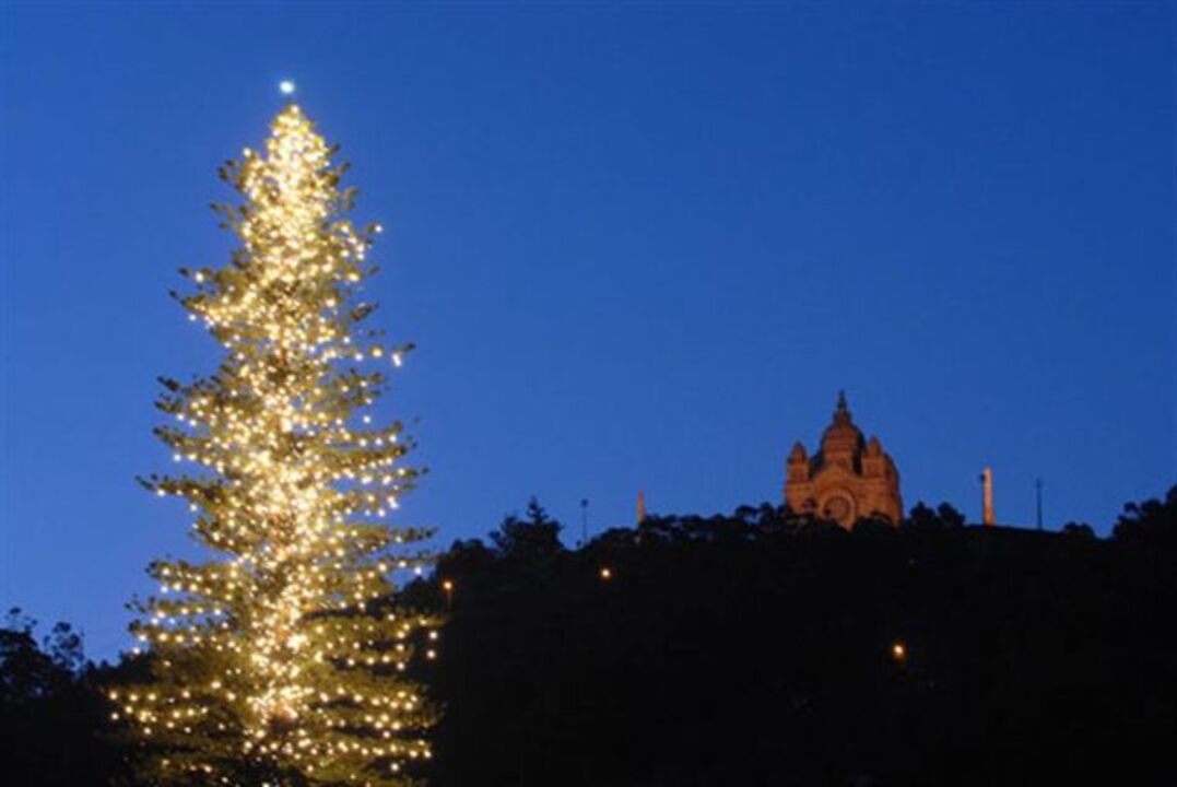 Maior árvore de Natal da Europa brilha em Viana