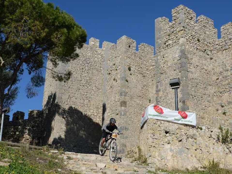 BTT gera grande entusiasmo