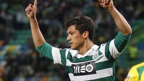 Oito leões decisivos