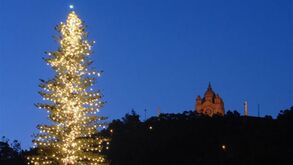 Maior árvore de Natal da Europa brilha em Viana
