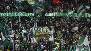 Adeptos já pedem o título