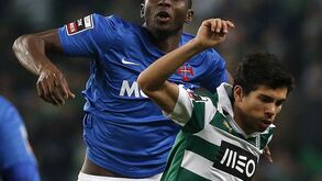 Sem medo das alturas