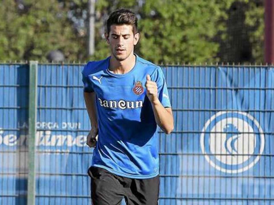 Pizzi pode integrar plantel este mês