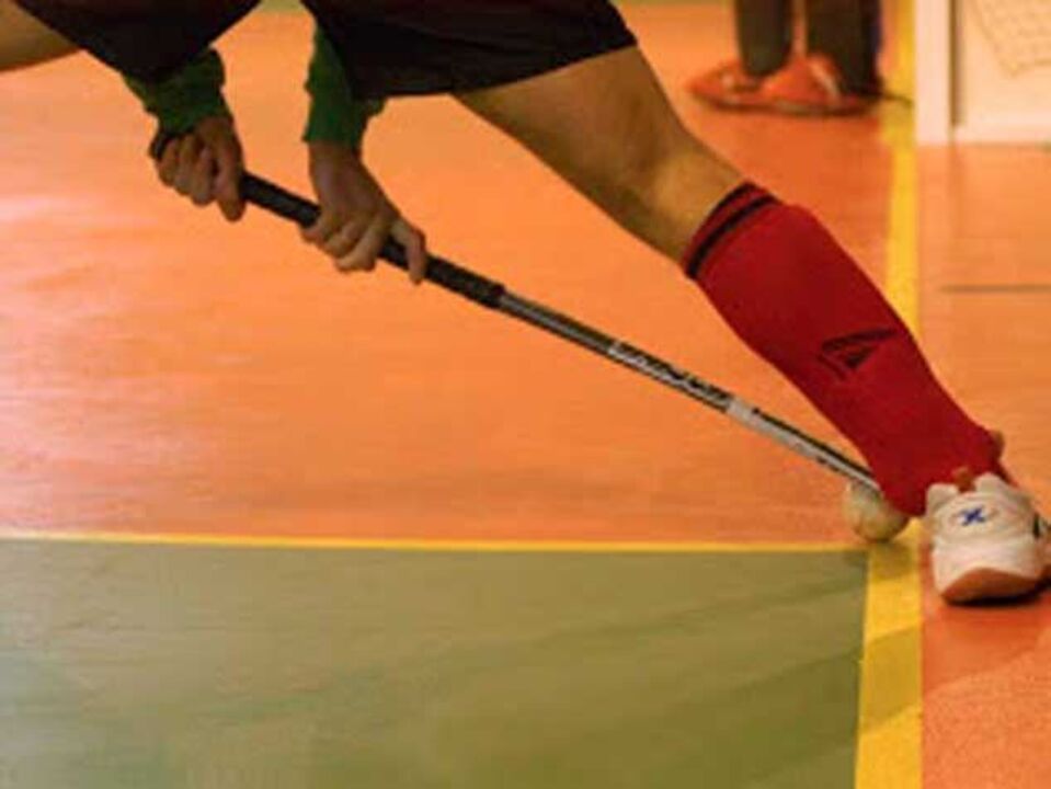 Hóquei de sala: Portugal arranca Europeu a ganhar
