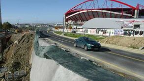 CDS-PP propõe dar o nome de Eusébio à Avenida Lusíada