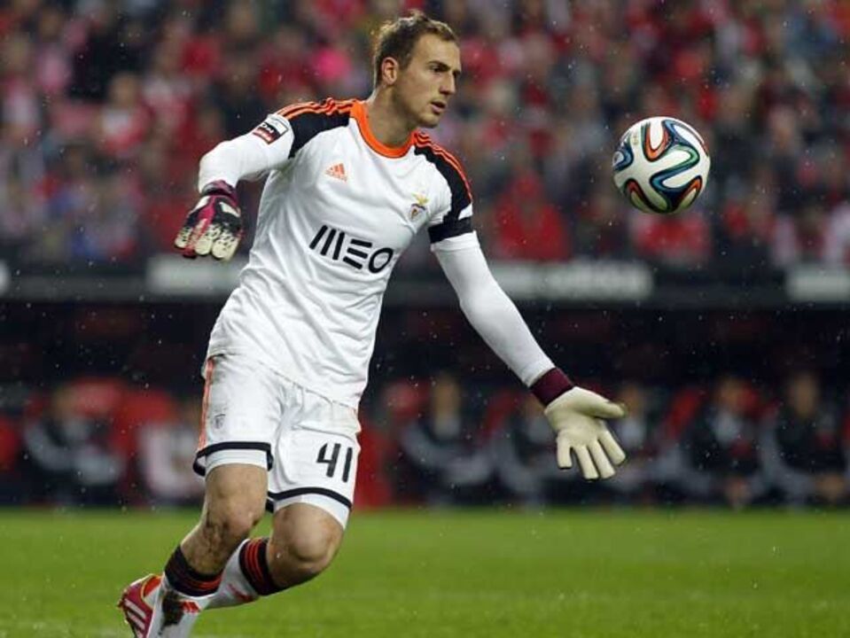 A baía de Jan Oblak