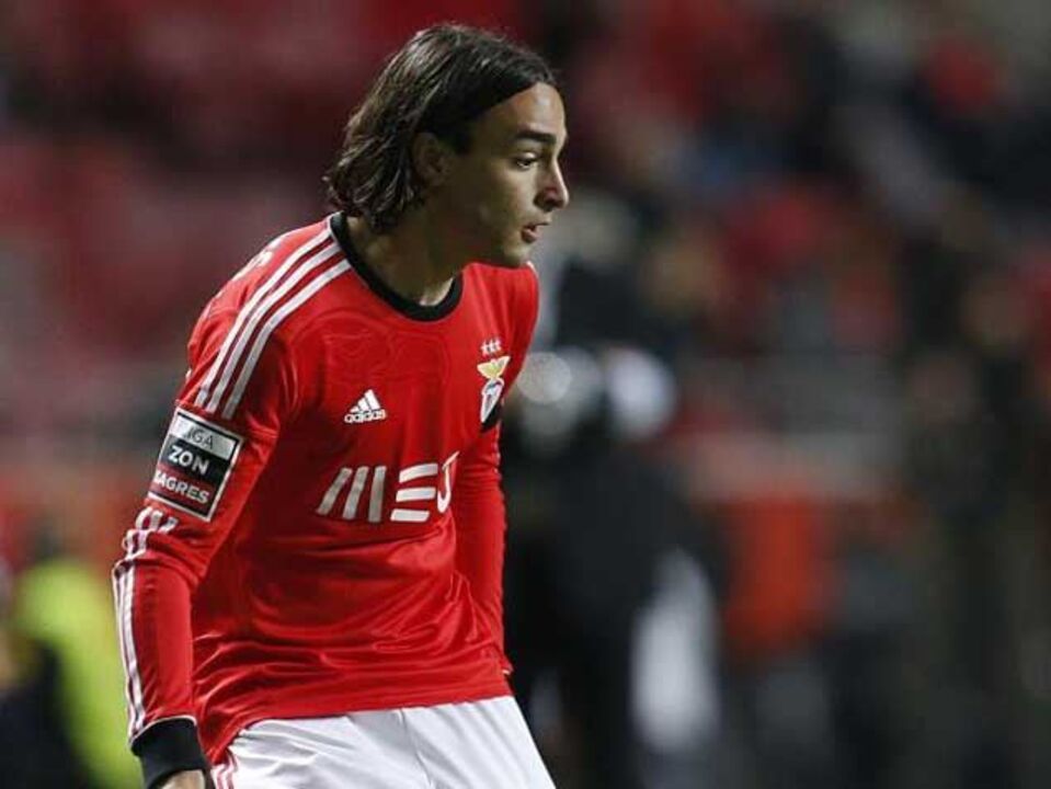 Dois leões entre nove aves