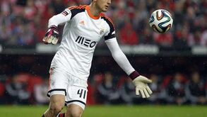 A baía de Jan Oblak