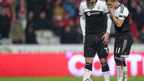 Pediram para ter galo