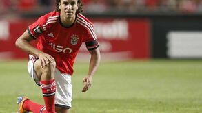Mais um ano de magia de Markovic