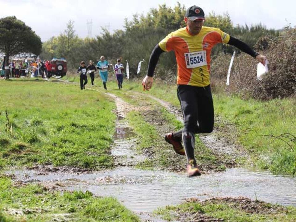 Sociedade das nações