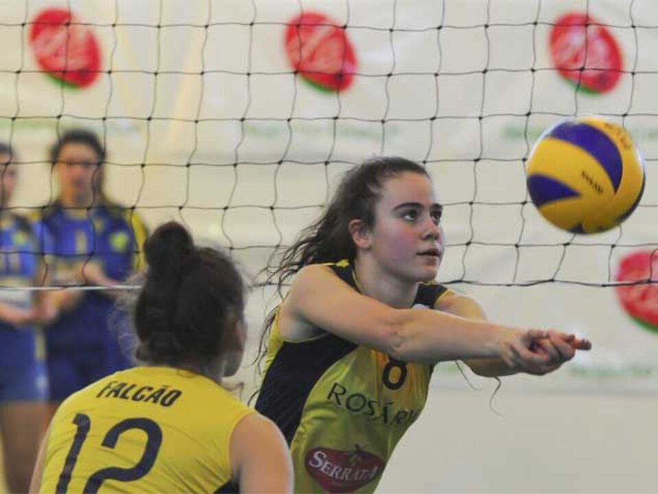 Voleibol: alunos do Porto e Leça da Palmeira no Mundial