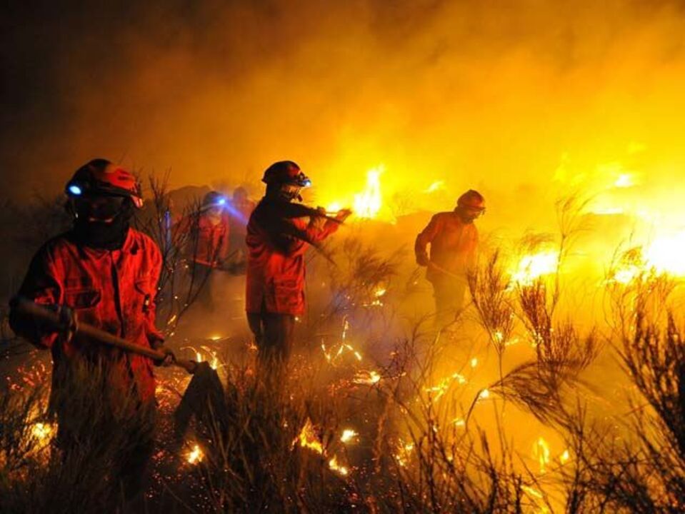 Treze concelhos em risco muito elevado de incêndio