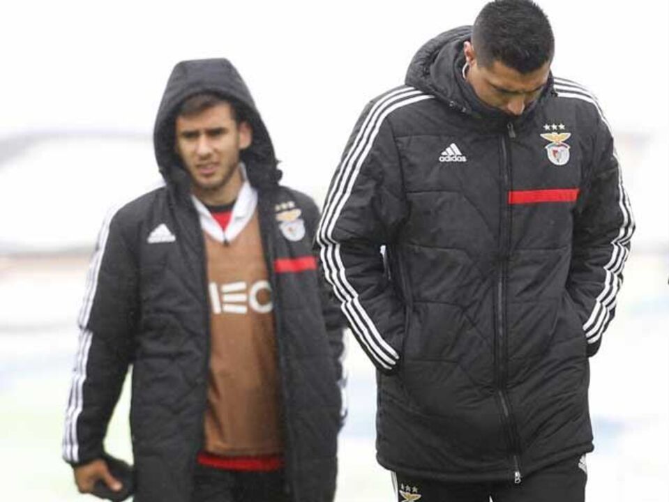 Notas de Cardozo e Salvio