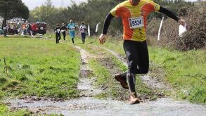 Sociedade das nações