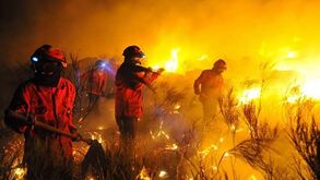 Treze concelhos em risco muito elevado de incêndio