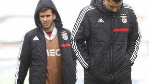 Notas de Cardozo e Salvio