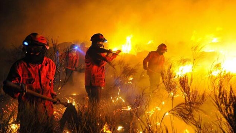 Treze concelhos em risco muito elevado de incêndio
