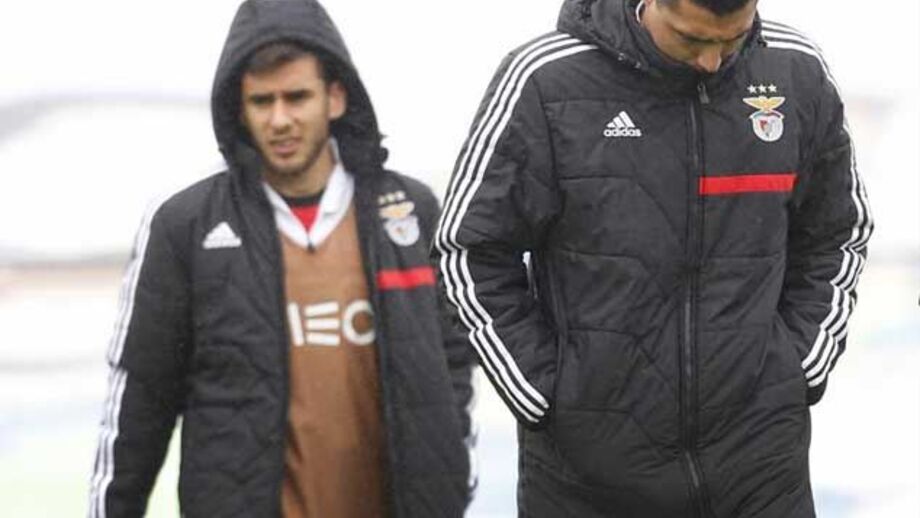 Notas de Cardozo e Salvio