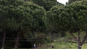 Coruche pronta para o Cork Trail Running 2014