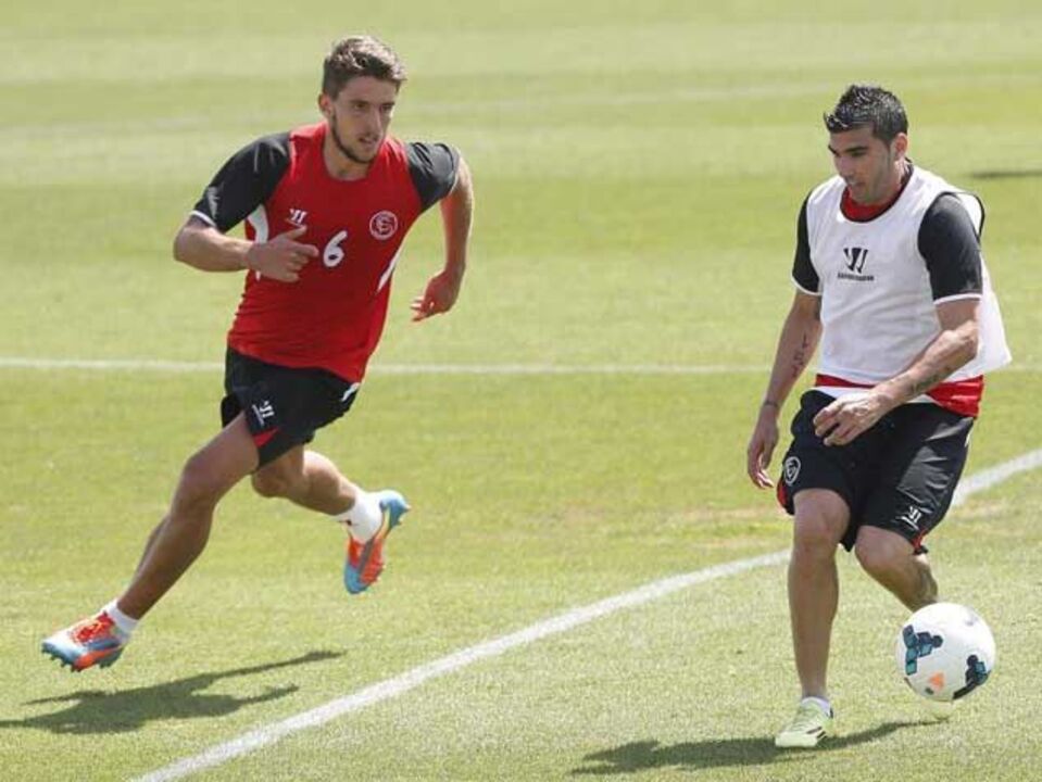 Carriço poupado na bancada