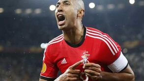 Luisão: «Sabemos bem que não vamos jogar a final sozinhos»