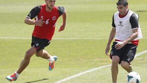 Carriço poupado na bancada