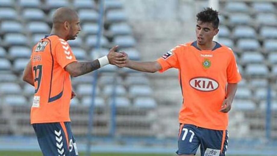 Leões continuam à pesca dos peixes graúdos do Sado