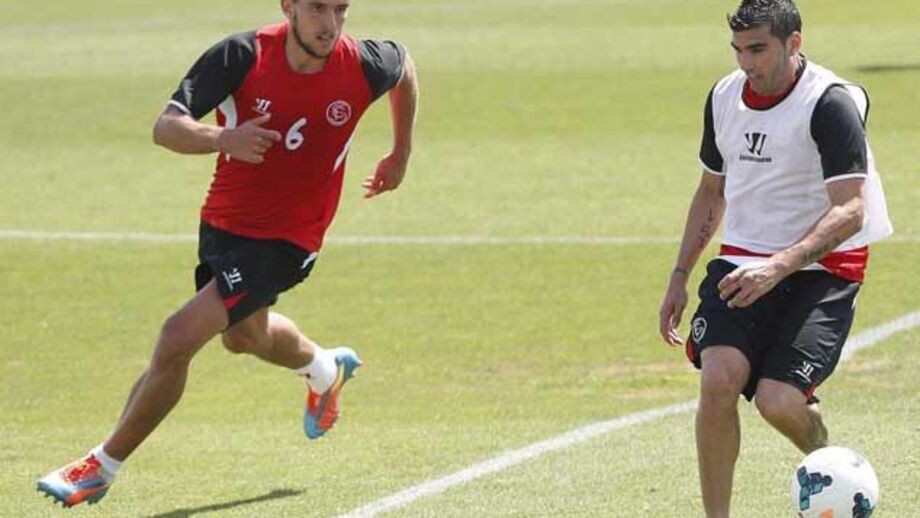 Carriço poupado na bancada