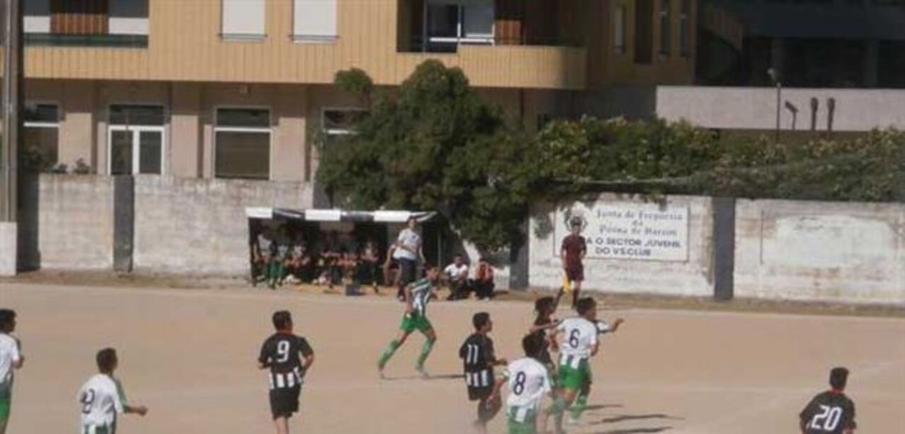 O viveiro da raça lusitana