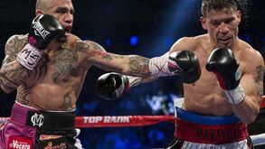 Boxe: Miguel Cotto arrasa "Maravilla" Martínez