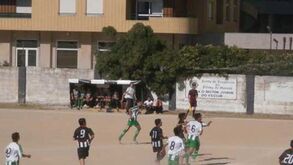 O viveiro da raça lusitana