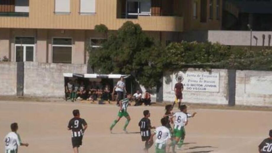 O viveiro da raça lusitana