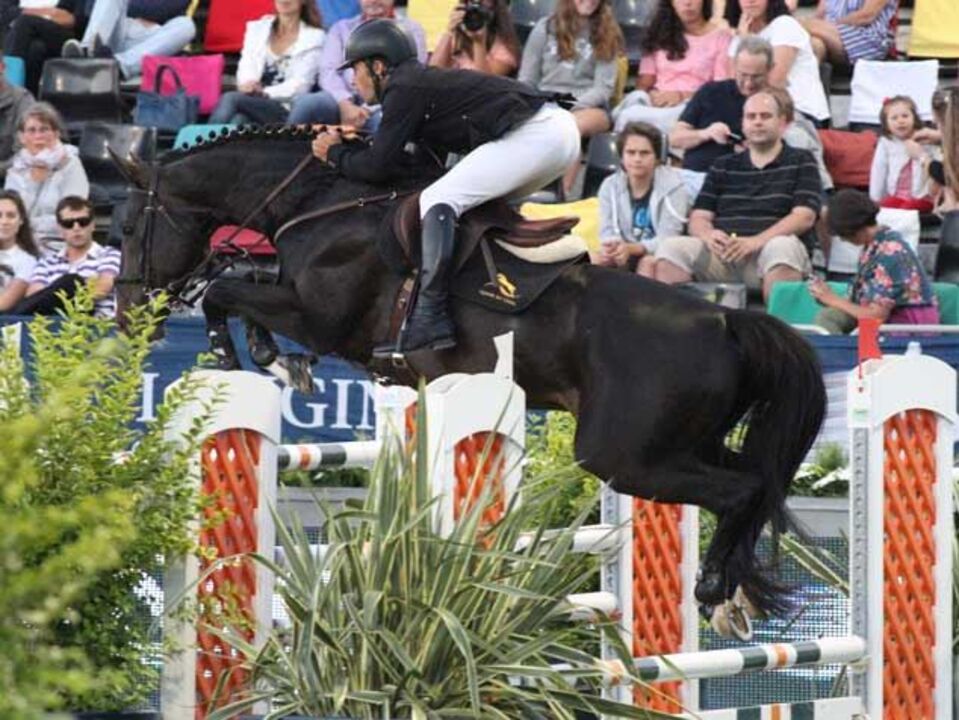 Hipismo: Scott Brash vence com Fernandes em 14.º lugar