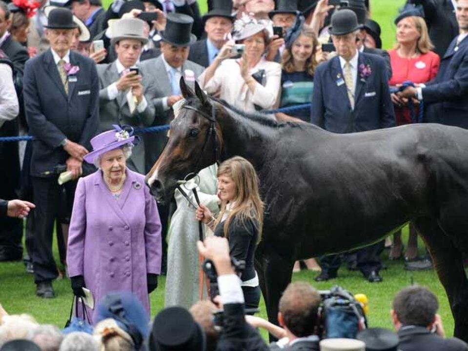 Cavalo de Isabel II acusou doping por morfina