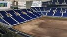 Dragão com relva nova até sábado