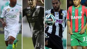 Águia pesca na Madeira e em São Paulo