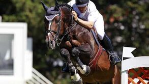 Hipismo: Luís Sabino Gonçalves obrigado a vender o melhor cavalo