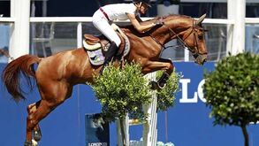 Hipismo: Luciana Diniz prepara Rio’2016
