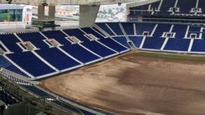 Dragão com relva nova até sábado