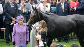 Cavalo de Isabel II acusou doping por morfina