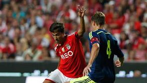 Sustos e preocupações no voo incerto da águia