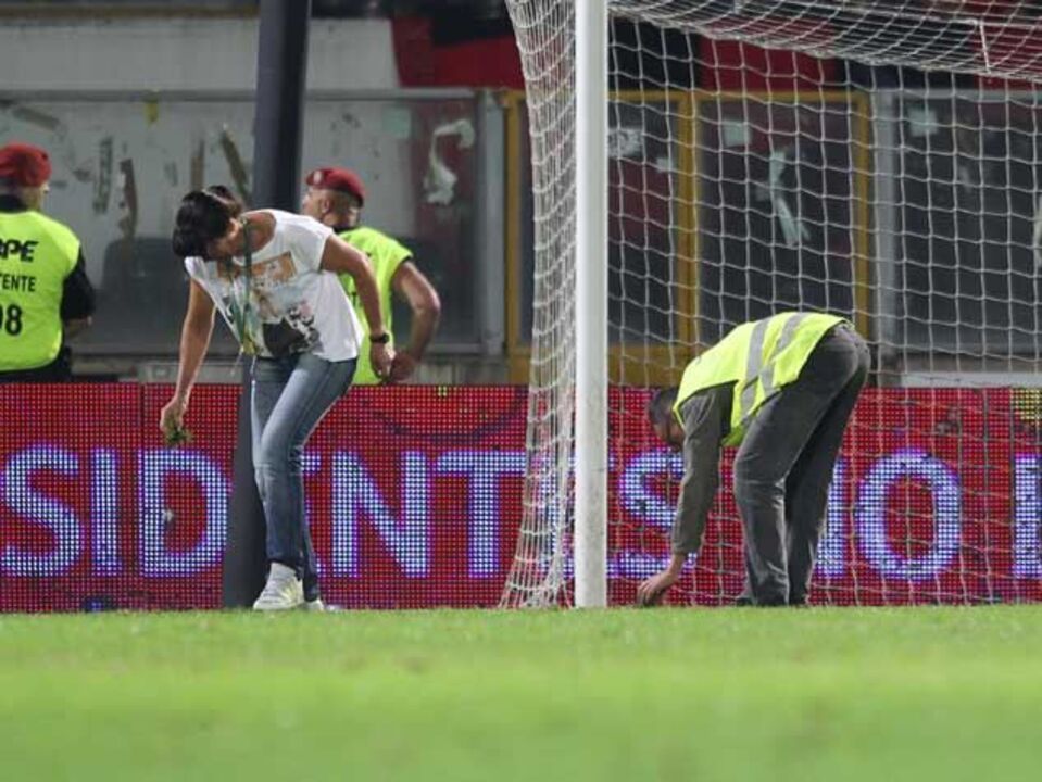 Bactéria tramou relvado