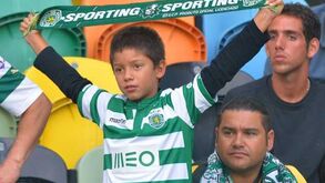 Bancadas querem um leão campeão